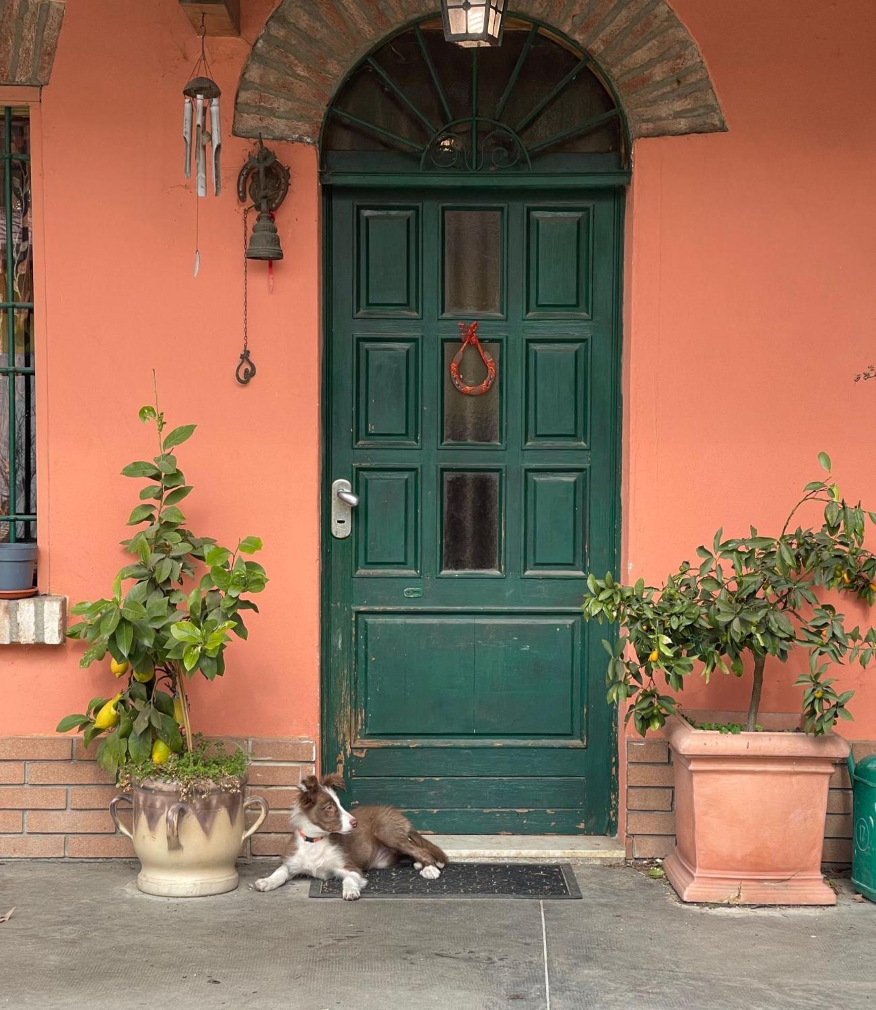 B&B La Cascina Di Alice カスティリオーネ・デッレ・スティヴィエーレ エクステリア 写真